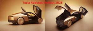 Tesla Robotaxi driving autonomously in urban environment