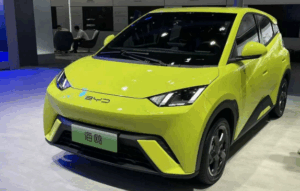 Buy EV from China as an American